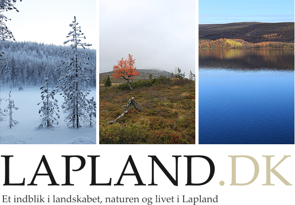 LAPLAND.DK Et indblik i landskabet, naturen og livet i Lapland